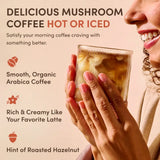 Mushroom Coffee Original B16