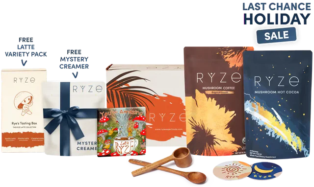 Day + Night Bundle Plus B48