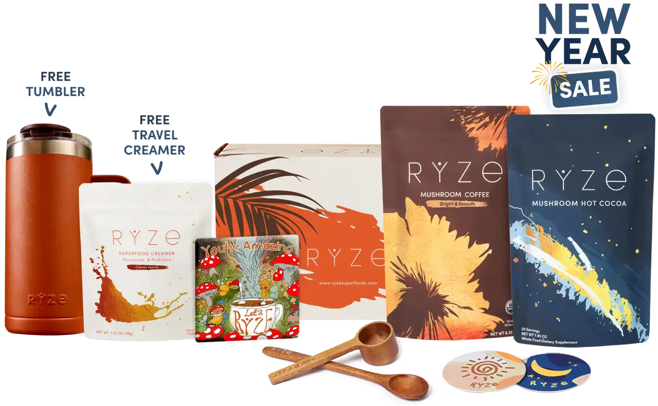 Day + Night Bundle Fresh B84