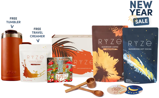 Day + Night Bundle Fresh B84