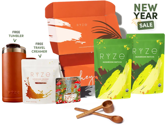 Starter Kit Fresh B44