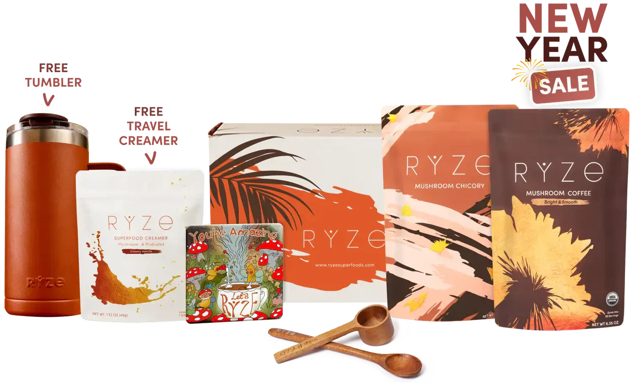 Lasting Energy Bundle Original B88