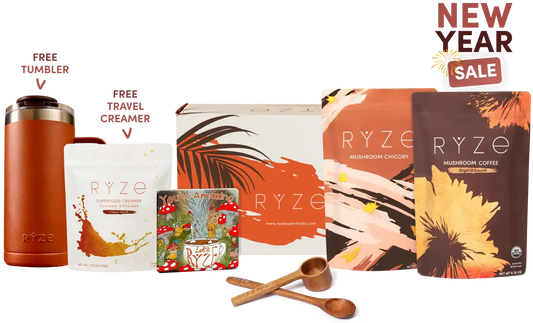 Lasting Energy Bundle Original B88