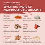 Mushroom Chai Original B85