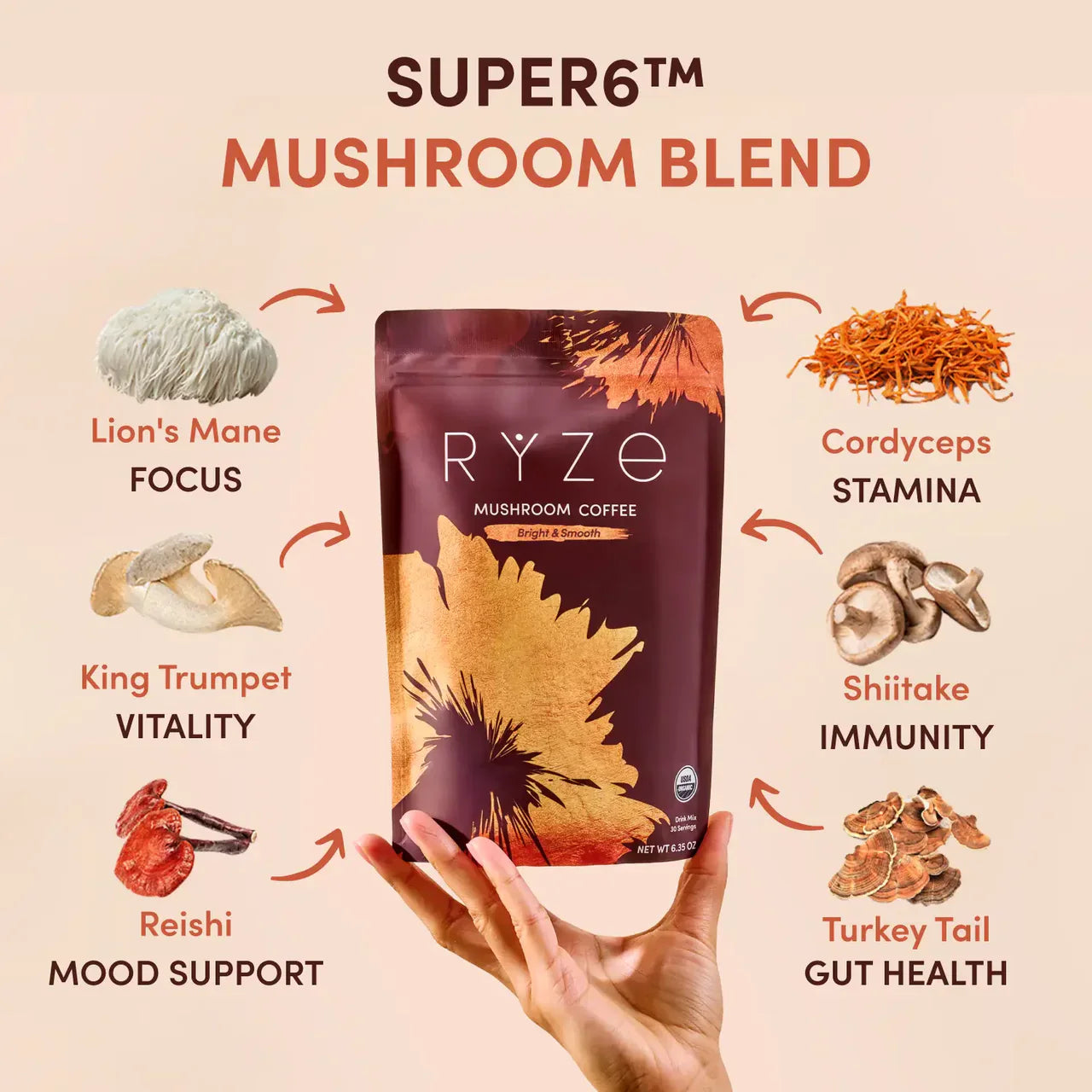 Mushroom Coffee Original B16