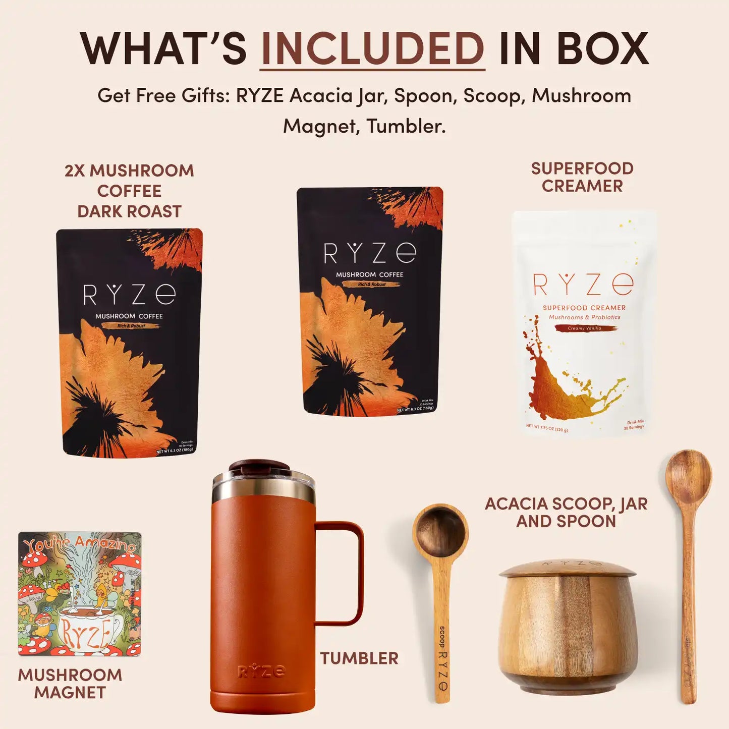 Ritual Set Dark Roast Signature B49